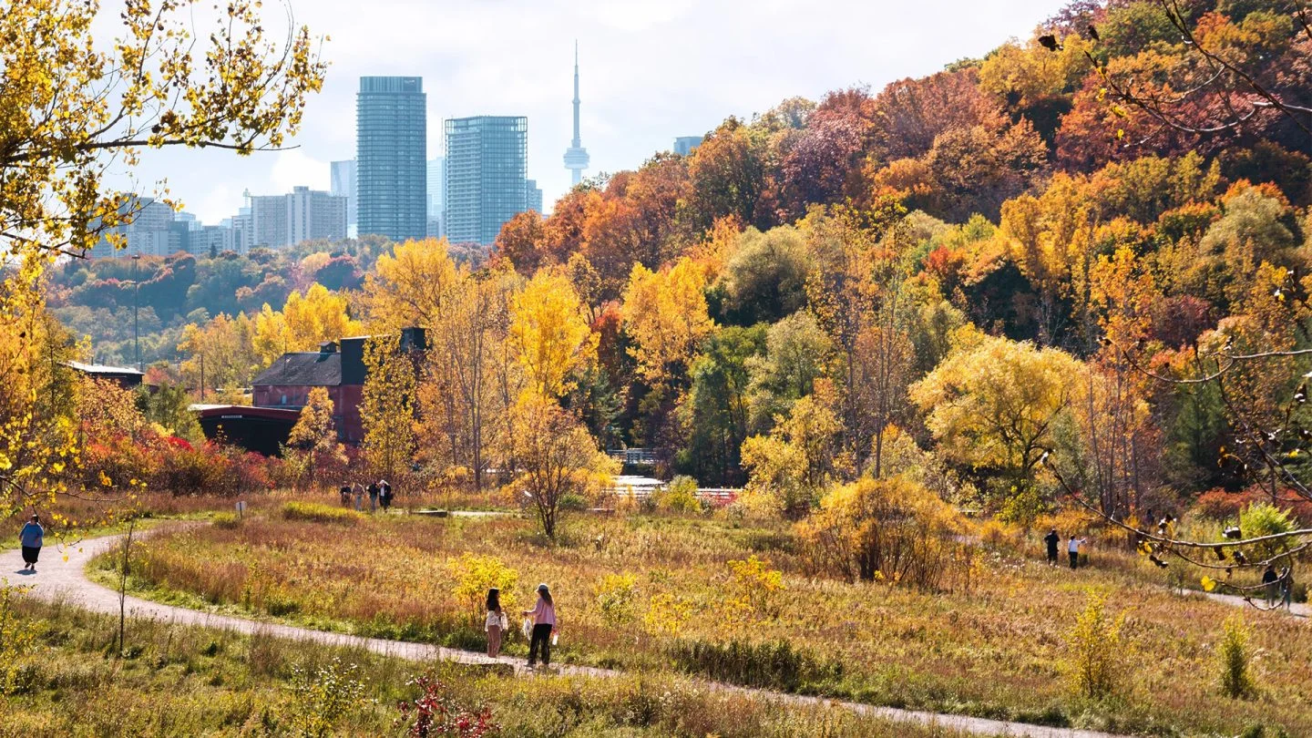 East York residential streets East York residential streets